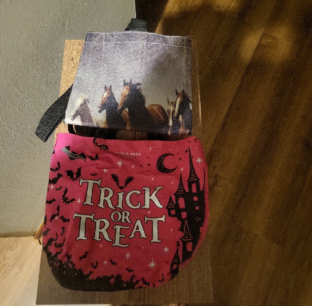 Kids Trick or Treat Costume Bag - Pink